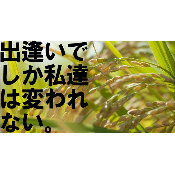 運がいい君が好きだ!?新しい何かとの出逢いが自分を変える。